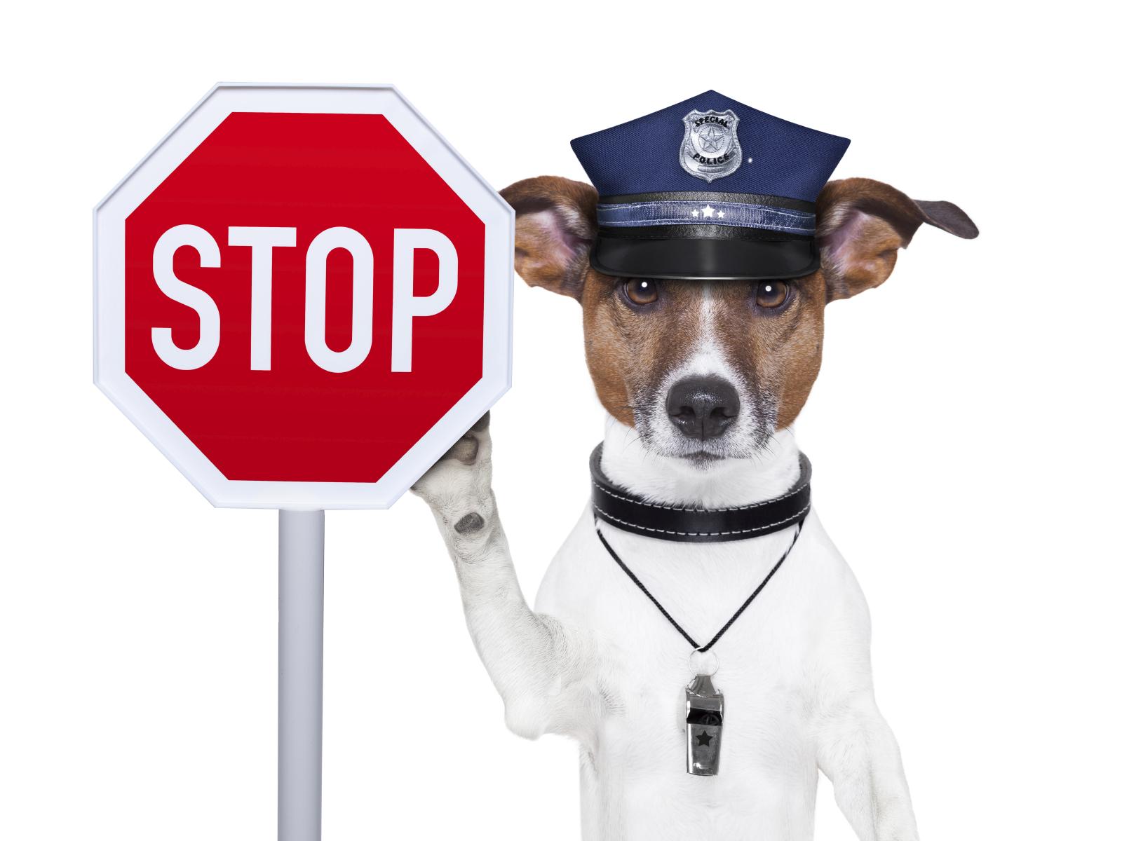 iStock 000022531951Medium